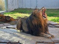 カメラ片手に千葉市動物公園へ散歩