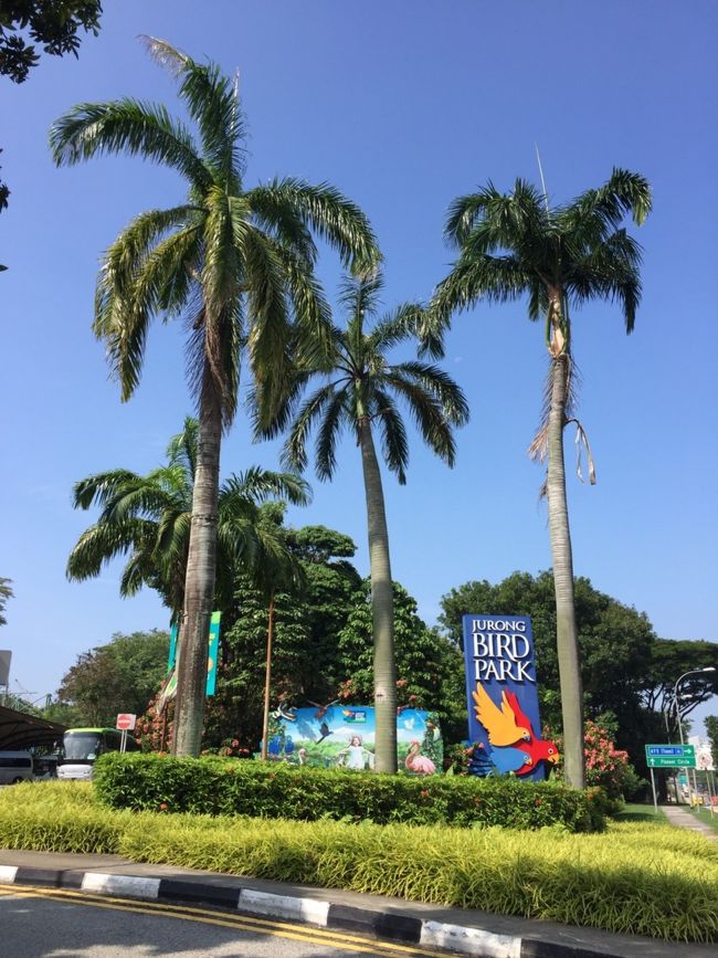 20200117 (金)<br /><br /># 朝食 : TOAST BOXでカヤトーストセット<br /><br /># JURONG BIRD PARK :  MRT東西線 Boon Lay 駅で下車、すぐ近くのショッピングモールの中のバス乗り場から194バス(B8ゲート)に乗り、10分ほどジュロンバードパークに到着<br /><br /># ジュロンバードパークを後に、バスでショッピングモールに戻り、フードコートの中にある「威南記」でお昼ごはん。<br />(鼎泰豐のお店もあります)<br /><br /># 食後「ムスタファセンター」で両替&amp;ショッピング<br />(ファーラーパーク駅 I 出口)<br /><br /># 晩ごはんはホテル近くのフードコートで燒鴨・叉燒等をテイクアウトして部屋で堪能しました<br /><br /># デザートは前日購入したマンゴー、とても美味しかった&#128523;