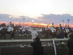 2017 初めての門別競馬場で初めて本場のジンギスカン食べたりご当地らしい名前の「ムカワシシャモ」を応援したりしました！