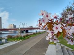 桜を追いかけ道東へ(その２)