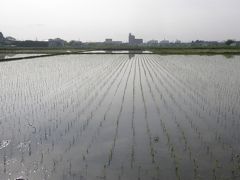 早朝ウォーキングコース上の佇まい