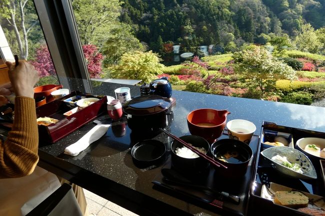 エクシブ箱根離宮では、現在中華粥とバイキングの朝食は休止していて、和朝食膳とアメリカンブレックファーストの朝食を提供しています。<br /><br />そこで、この日は和朝食、翌日はアメリカンブレックファーストを予約しました。<br />