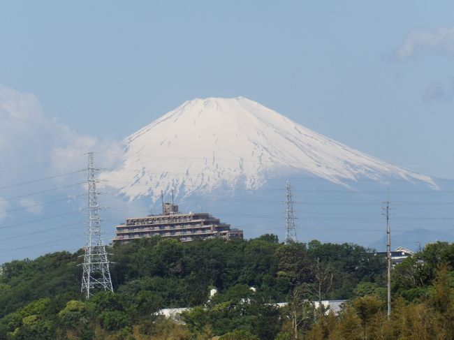 　連休明けの今朝の日の出には雲が多かったが、北風とともに空が晴れて来る。しかし、西の空には雲が多い。今日は富士山は見えないだろうなと思いつつも富士山のビュースポットで確認することにした。しかし、その手前から雲が多いので引き返した。その直ぐ後に道路から富士山が見える場所に来た。何と見られる状態ではないか！<br />　この場所は駐車場で、最近になってフェンスのネットの網目が細かくなって良い写真を撮ることができなくなったため、富士山のビュースポットから外した場所だ。どうにか2枚だけ撮った。すると、このネットにメジロが止まった。一昨日はベランダで番（つがい）で飛んでいるメジロを見た（https://dr-kimur.at.webry.info/202005/article_2.html）ので、2日振りだ。メジロの大きさなら、この網目が細かいネットでも難なく通り抜けられる。富士山の写真を撮るには忌々しいネットでもメジロにとっては丁度良いネットのようだ。<br />（表紙写真はようやく姿を現した富士山）
