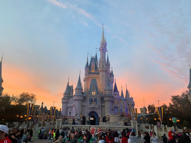 2020年2月に行ったウォルトディズニーワールド(WDW)7日間の旅行記です。<br /><br />1日目<br />成田空港→ワシントン空港→オーランド空港<br /><br />2日目<br />ハリウッドスタジオ<br />エプコット<br /><br />3日目<br />アニマルキングダム<br />マジックキングダム<br />エプコット<br /><br />4日目<br />ハリウッドスタジオ<br />オーランドバインランドプレミアムアウトレット<br />マジックキングダム<br /><br />5日目<br />ハリウッドスタジオ<br />マジックキングダム<br />ディズニースプリングス<br />ハリウッドスタジオ<br /><br />6日目<br />オーランド空港→シカゴ空港→<br /><br />7日目<br />→成田空港<br /><br />この旅行記④は3日目(キリマンジェロサファリから)です。