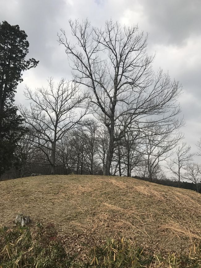 昨年末橿原神宮に行った際、近くに良い公園があるのを発見しました。奈良の街歩きに夢中になっていた時期です。色々なスポットを調べている中、妻が見つけた公園です。日本では有数の群集墳である、新沢千塚古墳群がある公園です。古墳は総数約６００期もあるそうです。