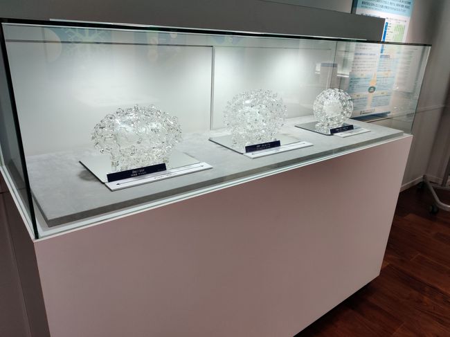 2019年中国 湖北省 武漢で発生したCovid-19(新型コロナウィルス感染症)は世界中に感染者を広げ、遂にはパンデミック(世界的大流行)に陥りました。<br />日本でも『新型コロナウイルス感染症 緊急事態宣言』が発令され、社会人生活約30年で初めて経験した一ヶ月以上の自宅テレワーク。<br />ゴールデンウィークも殆ど家に篭り切りで、最近撮った外出の写真を眺める毎日でした。<br />この間に2月にふらっと立ち寄った東大病院併設の『健康と医学の博物館』の写真が何枚か出てきたので、紹介がてら『この先どうするかな~』なんて考えます。<br />事実に基づいていますが、あくまで私見です。決して上から目線のつもりはありませんし、不安を煽るつもりもありません。その辺りご理解頂きたく・・・。