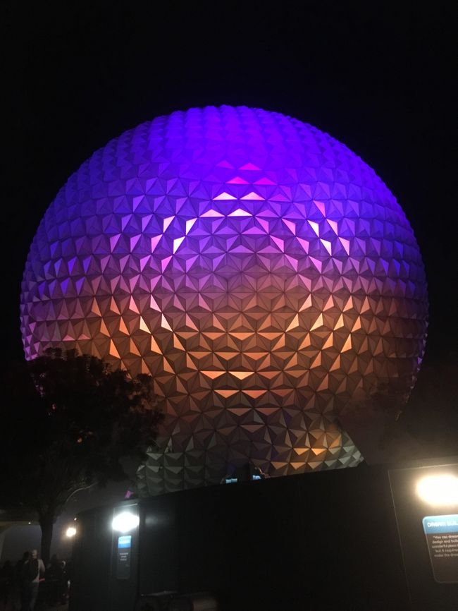 2020年2月に行ったウォルトディズニーワールド(WDW)7日間の旅行記です。<br /><br />1日目<br />成田空港→ワシントン空港→オーランド空港<br /><br />2日目<br />ハリウッドスタジオ<br />エプコット<br /><br />3日目<br />アニマルキングダム<br />マジックキングダム<br />エプコット<br /><br />4日目<br />ハリウッドスタジオ<br />オーランドバインランドプレミアムアウトレット<br />マジックキングダム<br /><br />5日目<br />ハリウッドスタジオ<br />マジックキングダム<br />ディズニースプリングス<br />ハリウッドスタジオ<br /><br />6日目<br />オーランド空港→シカゴ空港→<br /><br />7日目<br />→成田空港<br /><br />この旅行記⑤は3日目(バズライトイヤーのアトラクションから)です。