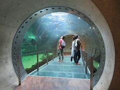 南東北の動物園と水族館めぐり①　【なかがわ水遊園】