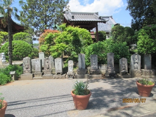 大室地区はほぼ菱形のような矩形で、上下に当たる西北・西南辺は利根川堤防・県道７号線で大まかに区切られます。西方はつくばエクスプレスが南北に走り、東方は前回見た花野井地区に当たります。いまだ農村の色濃く残っている村です。「柏たなか駅」周辺の開発は遅く道路整備が終わって新築の家が建ち始めました。真言宗豊山派　金剛密寺　薬王山吉祥院の山門が無い入口の脇に前後１７基の石仏が並んでいるのは圧巻です。前の空間が広く１基づつ良く見る事が出来ます。本体は元より「ショケラ」、「三猿」もじっくりと確認いただければ石仏通になった気分に成ります。<br />参考にさせていただいたブログは下記です。<br />石仏神心　131　北総石仏　柏の石仏　大室に詳しく書かれています。<br />http://sekibutu.blogspot.com/<br />