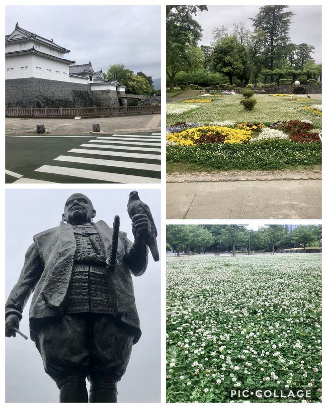 結果的に静岡県の非常事態宣言の最終日に駿府城公園を訪れました。<br />天気は曇天・・・<br /><br />市内では営業している飲食店はほぼ無しであってもテイクアウトのみ<br />徹底されてました。<br />無論、駅ビル、松坂屋、セノバなどは食料品売り場のみ営業<br /><br />街には活気はありません。人も少な目<br /><br />駿府城公園はクローバーの花が一面を覆ってました。<br /><br />駿府城公園HP<br />https://sumpu-castlepark.com/<br /><br />中身が薄くて恐縮ですが、備忘録です。