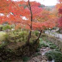 錦の隠れ里　円照寺から正暦寺へ