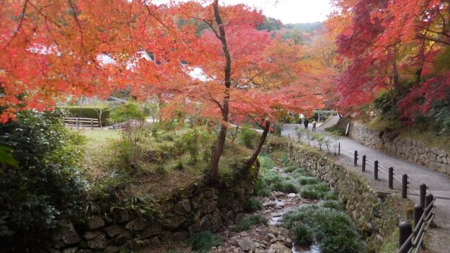 10月にイギリス旅行から帰って、その後も友人や単独行での京都、奈良歩きが続いた。今回はカミサンを誘って今年最後の紅葉を見に正暦寺へ。昔と違い今はコンビニで簡単に弁当が買えるので、思い立ったら即実行できる。<br /><br /> このコースは円照寺から鹿野園に抜ける北山の辺の道の、正暦寺を経由する迂回路にあたる。新緑の時期に二人で行ったのはもう20年前のことだった。京都のような華やかさはないが、鄙びた田舎の風景は「錦の隠れ里」にふさわしい。<br />