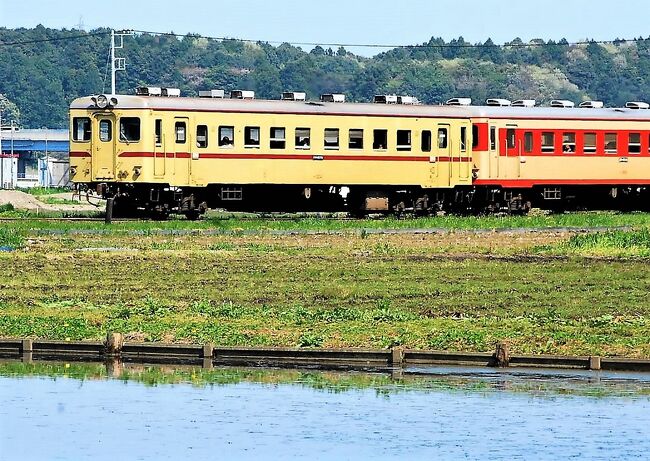 最近トラベラー諸氏の一部で旧国鉄型車両が話題の為、便乗で投稿する。<br />景色やグルメ画像は無く、ガチの鉄道ネタだけなのでお断りしておく。<br />DC＝デｨ－ゼルカー、<br /><br />2010年.5月 <br />　　　　<br />　　　　①ひたちなか海浜鉄道(茨城県）<br />　　　　　　キハ20系<br />　　　　　　東日本大震災の前年仙台から常磐線旅行の帰り<br />　　　　　　<br />　　　　②ＪＲ烏山線(栃木県）<br />　　　　　　キハ40系<br />　　　　　　那須高原の温泉とつつじ見物の帰り<br /><br />