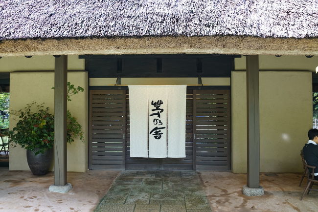 福岡で行ってみたいお店、いまや出汁が全国区で人気のレストラン茅乃舎(通称? HPでは御料理 茅乃舎)。茅乃舎出汁は関東でも売っていてもうお馴染みですが福岡の糟屋郡久山町の山の中に茅葺き屋根のレストランがあります。福岡空港からレンタカーで50分くらい。<br />ランチ予約は11時~、13時~、13時半~の三つの時間帯があります。自分達は福岡空港からレンタカーを借りて直行する事を考え13時からの予約にしました。<br /><br />予約Mustではないけど、土日は予約がないと1時間半とか待つ事になると思います。実際に自分達が行った時に、そういう方がいらっしゃいました。気になったら予約をして行ってみて下さい。オススメです。<br /><br />今回は、蕾(つばみ)というコースをいただきました。このコースは予約Mustではないですが、予約しないと食べれないコースもあり、そちらはお値段もスペシャル。<br /><br />http://www.kayanoya.com/restaurants/restaurant/<br /><br />今回の九州旅行は福岡→由布院の流れですが、この旅行記は1日目の福岡編です。<br /><br />2019 九州旅行記(由布院編)もよろしければご覧ください。<br />https://4travel.jp/travelogue/11622340