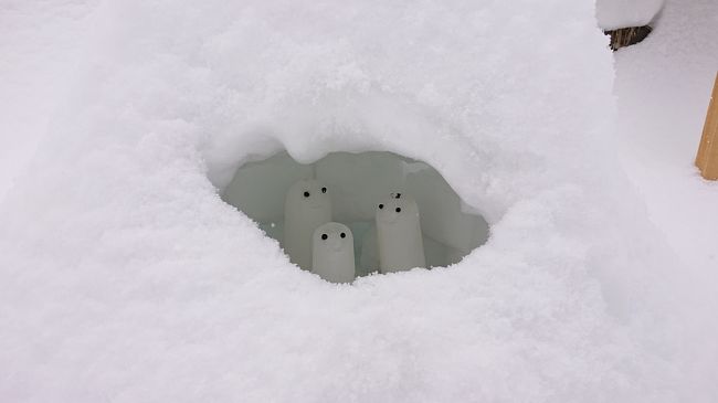本日は北海道旅行最終日です。小樽は朝から吹雪いていました。朝運河の辺りを散歩しましたが、雪あかりの路の会場は昨夜の雪で埋もれていました。今回は特に飛行機のフライト時間にも遅れがなく、順調に帰宅できました。