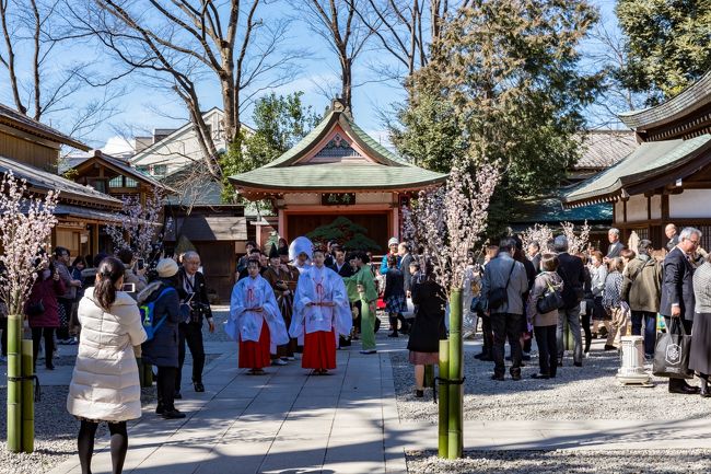 所沢・川越・飯能エリアをぐるりと巡る旅。開園から70年を過ぎた西武遊園地のある所沢、蔵造の街並みや菓子屋横丁など風情ある街並みを楽しめる川越、自然豊かでムーミンの世界観を再現したムーミンバレーパークのある飯能など、埼玉県西部の所沢・川越・飯能エリアをぐるりと巡ってみました。<br /><br />□■□■□■□■□■□■□■□■□■□■□■□■□■□■□■<br /><br />所沢・川越・飯能ぐるり旅、今回は川越市にある川越氷川神社に行ってきました。縁結びのパワースポットとして有名な川越氷川神社、夏の特別行事の縁結び風鈴は涼し気な風鈴が飾られた風鈴回廊など夏の風物詩とも言える景色を楽しむことができます。訪れた時はタイミングよく神前結婚式が行われていました。川越観光のメインストリートから徒歩圏内のため足を運ぶことをお勧めします。<br /><br />□■□■□■□■□■□■□■□■□■□■□■□■□■□■□■<br /><br /><川越氷川神社><br />https://www.kawagoehikawa.jp/<br /><br />□■□■□■□■□■□■□■□■□■□■□■□■□■□■□■<br /><br /><埼玉ぐるり旅><br />【1】古代蓮の里<br />https://4travel.jp/travelogue/11342082<br />【2】忍城<br />https://4travel.jp/travelogue/11358749<br />【3】鉄道博物館<br />https://4travel.jp/travelogue/11600885<br />【4】川越氷川神社<br />https://4travel.jp/travelogue/11622278<br />【5】菓子屋横丁・時の鐘・喜多院(川越)<br />https://4travel.jp/travelogue/11623324