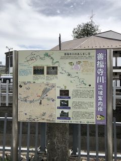 善福寺川