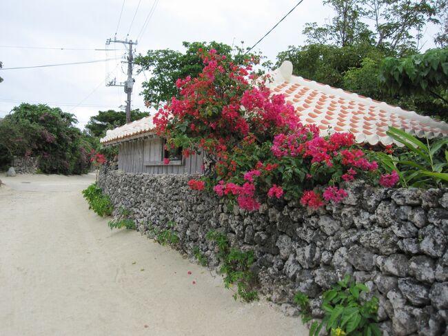 石垣島マラソン Vol 2 マラソン前日は竹富島観光へ 竹富島 沖縄県 の旅行記 ブログ By Kittyさん フォートラベル 石垣島マラソン Vol 2 マラソン前日は竹富島観光へ 竹富島 沖縄県 の旅行記 ブログ By Kittyさん フォートラベル