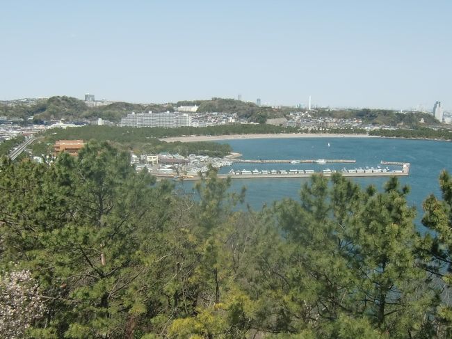 横浜市金沢区の金沢シーサイドライン海の公園南口駅から、海の公園、称名寺および野島の気になるスポットを、ウィルス対策のため３密を避けながら、所用を兼ねて手短に散歩して小旅行気分を味わった。<br />写真は野島公園展望台から散策エリアの海の公園から称名寺付近を別途撮影したもので、中央が金沢漁港と金沢湾へ延びる防波堤、その先から右手にかけての水際の一帯が海の公園で、左手の一段高い山の左側に見える麓の際に称名寺および神奈川県立となっている金沢文庫がある。