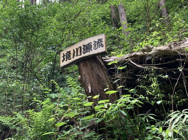 毎日家の近所の境川を散歩していましたが、町田の奥に源流がある事を思い出して、歩いて源流まで行ってみることにしました。