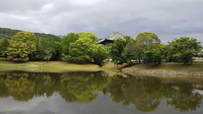 実質的にはGWも今日が最終日。<br />雨予報だったけれど、微妙に曇り空をキープ。いよいよ湿度も高くなってきて、奄美地方では梅雨入りしたそうだ。<br />今年はコロナのおかげで春の記憶がほぼないまま夏を迎えることになりそう。いやでも、夏は夏でコロナリスクを侮ってはいけない。