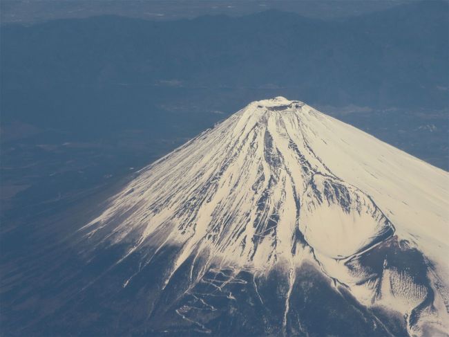 リベンジ和歌山（１）☆初めての南紀白浜へ羽田から