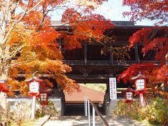 紅葉の山梨　御朱印巡り【後編】大善寺・甲斐奈神社2社・酒折宮・東光寺・武田神社