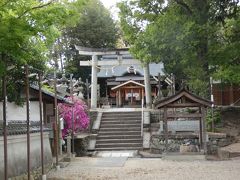 京田辺 棚倉孫神社(Tanakurahiko Shrine, Kyotanabe, Kyoto, JP)