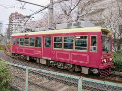 2018年３月。東京・桜巡り