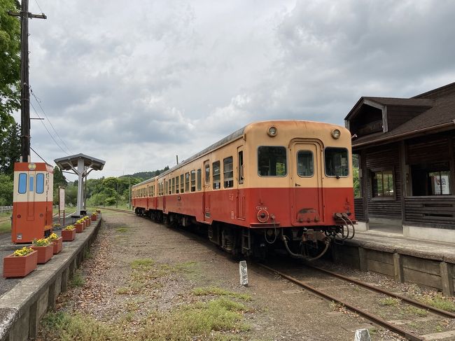 小湊鉄道の1日フリー切符を購入し、五井⇄上総中野間往復して来ました。
