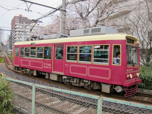 2018年３月、東京でお花見巡りをしました。