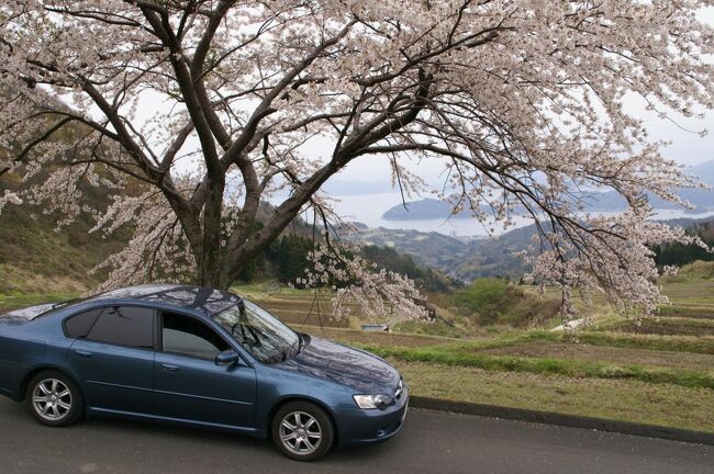 2007年4月から5月にかけて大阪のとある町にステイするが、田舎からBL5（レガシィB4）を連れてきており、料金の高い駐車場に、ただ眠らせておくのはもったいないので、近隣の名所などを尋ねてみることにした。手始めに日本海方面へ行って見ようということで、天橋立と丹後半島を目的地に選び、4月18日 8:00に、大阪のとある町を出発する。<br /><br />表紙の写真は丹後縦貫林道を走破中に1本のソメイヨシノと遭遇。BL5と満開の桜、そして若狭湾を見下ろす記念写真となった。<br />