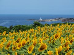 佐渡は超暑かった～！④　☆尖閣湾揚島遊園＆鉱山の港・大間港（跡）☆