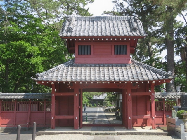 越谷の旧日光街道沿いにある武蔵国越谷郷大澤鎮守の大澤香取神社と至登山遍照院天嶽寺に行き参拝・散策しました、前日歩いた時お花が咲いていたのでカメラを持って1時間程散策しました。<br /><br />大澤香取神社は日光街道の武州大澤宿にある神社、東武スカイツリーライン北越谷駅から5分位の場所にあります、創建は五百年前の応永年間と推定されています、初詣や七五三などで参拝者が来ています、毎月第二土曜日には骨董市も行われています。<br /><br />至登山遍照院天嶽寺は浄土宗の寺院で文明10年(1408年)開山、本尊は阿弥陀如来、本堂の他山門、楼門、鐘楼、不動堂、薬師堂があります、境内は久伊豆神社参道、越谷アリタキ植物園に隣接してます