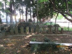 柏市の大青田・妙見神社・石仏