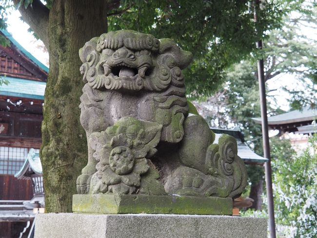 神明神社(しんめいじんじゃ)<br /><br />福島県会津若松市中町1-46<br />2020.2.9.10の二回参拝しました。<br /><br />街中は駐車場が無く、神社さんにも無かったので<br />コインパーキングを探しました。<br /><br /><br />とは言うものの、神明通りまで歩いて来たのですが<br />商店街・・・・<br />うっかり 通り過ぎてしまいました(^^;<br /><br />と鳥居を発見!<br />良かったあ・・と胸を撫で下ろしましたが!!!!!!!!!!!!<br /><br />宮司さまは所用で 車でお出掛けでした。<br />明日 また参ります。と お話して 境内へ<br />参拝させて頂きました。<br /><br />ご祭神<br /><br /><br />天照大御神(あまてらすおおみかみ) 通称:お伊勢さま <br />応神天皇(おうじんてんのう) 通称:八幡さま <br />宇迦之御魂神(うかのみたまのかみ) 通称:お稲荷さま <br /> <br />大国主命(おおくにぬしのかみ) 大国さま、大地を象徴する神格 <br />秋葉大神(あきはのおおかみ) 火防、鎮火の神様 <br /><br />沢山の神が祀られている町の中の神社さんでした。<br /><br /><br />神道流槍刀術の祖<br />飯篠山城守家直の勧請により創建されたと言う。<br /><br />以降松平家までの歴代会津領主から崇敬を受け、<br />庇護を受けた神社さん。<br /><br />しかしこちらも<br />戊辰戦争によってすべてを焼失してしまった・・のです。<br /><br /><br />