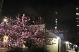 ねぎし 錦糸町店 クチコミ アクセス 営業時間 錦糸町 フォートラベル