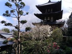 當麻寺および西南院～玉や～一言主神社