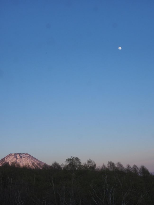 はじめに<br /><br />今回も、マスク　除菌クリーナー　除菌ジェル　うがい薬を持ち歩き、人がいない時間帯と人がいない場所を選び、３密にならぬよう気を付け、なおかつ、雀の涙くらいの金銭ですが、ニセコのまちに落してきて、少しでも経済が活性する旅をしました。<br />神社お参りし、神頼みもしてきましたし、自然にも、たくさん癒してもらいました。<br />～～～～～～～～～～～～～～～～～～～～～～～～～～～～～～～～～～～<br /><br />ＧＷはほぼ毎年ニセコに行っています。今年はいつもと違うところにしようということで、３月にＧホテルを予約していました。<br />しかし、４月になって、１か月を切ったところで、閉鎖するという連絡を受けました。<br />そこで、ほぼ定宿になっている、コンドミニアムが５日が開いていたので、行くことにしました。