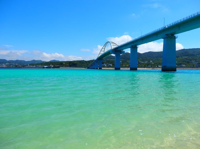もう9月です。<br />沖縄に行かなければと思い、3泊4日で沖縄に行ってきました。<br />天気もよく最高の旅行となりました。<br /><br />4日目 最終日です。帰りたくないよー