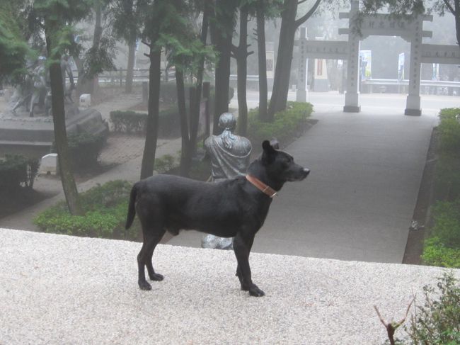 2012冬 台湾旅行記　2.霧社②、集集、斗六