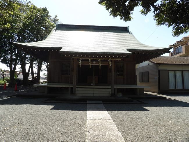 　横浜市港南区港南5に鎮座する天照大神（てんしょうだいじん） 宮は創建年代等は不詳ながら、天正年間（1573年～92年）以前の創建で、往古は笹下郷の総社だったと伝えられ、江戸期には太神宮と称していたという。江戸期には、天文12年（1543年）領主間宮信元が再建した安房洲神社が松本村内の鎮守とされていたが、明治6年（1873年）当社が村社に列格、明治41年（1908年）村内の無格社であった安房州社、八坂神社、若宮八幡社、榛名神社、稲荷神社、杉山神社、御霊神社を合祀したという。<br />　現在の本殿は文久3年（1863年）の再建で、明治22年（1889年）に拝殿を増築したものである。<br />　桜道から下ってまた長い階段を上った先に天照大神宮がある。桜道からは南台小・笹下中の横道から行くのが一番高低差がない。<br />（表紙写真は天照大神宮拝殿）