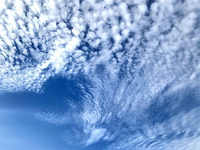 2020年5月14日に神奈川県は非常事態宣言が解除されることなく様子を見る体制に。自粛です。<br />今朝の空は見事でした。空を見上げながらウォーキング。鱗雲の流れを追いました。<br />刻々と変化する雲を眺めるのも時間を楽しんでいる事を感じます。<br /> 青空と雲遊び