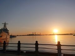 臨港パーク～赤レンガ～山下公園をランニング。夜景、日の出の横浜港と花の景色が最高( ´∀`)