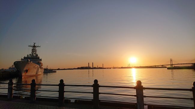 臨港パーク～赤レンガ～山下公園をランニング。夜景、日の出の横浜港と花の景色が最高( ´∀`)