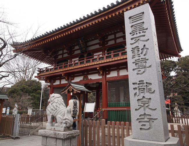 関東三十六不動霊場巡り、年が明けて、第八回。<br />始めたころは、一年もあれば、全部廻れるだろうと思っていましたが、寄り道ばかりして、なかなか進みません。<br /><br />でも友達とおしゃべりにしながらの巡礼は楽しくて、寄り道をして、結願を引き延ばすのもいいかもしれないって、思い始めました。<br /><br />さて今回は、世田谷編に組み込まれたなかった目黒から、山手通りを北上するコースです。