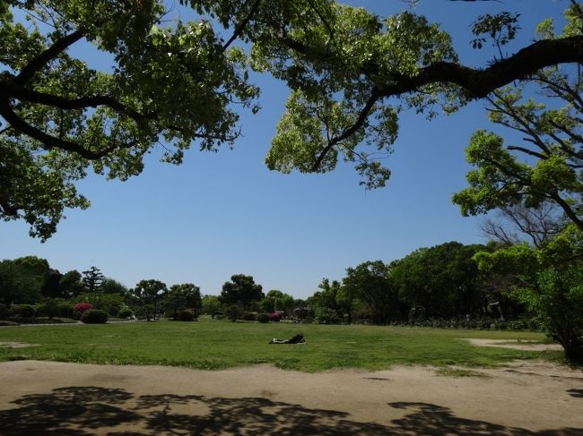 風通しのいい場所を求め、深田池公園と明石公園へ【親子で兵庫往復記２】