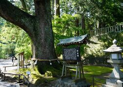 一宮巡詣～遠江・事任八幡宮と加茂花菖蒲園（2020.5）