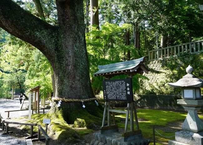 4月・5月は、コロナ禍のなか旅行できなかったので、ひっそりと県内の一宮を参拝していました。遠江国の一宮の「事任八幡宮」と毎年行っている、掛川の加茂荘花鳥園へ母を連れて行ってきました。
