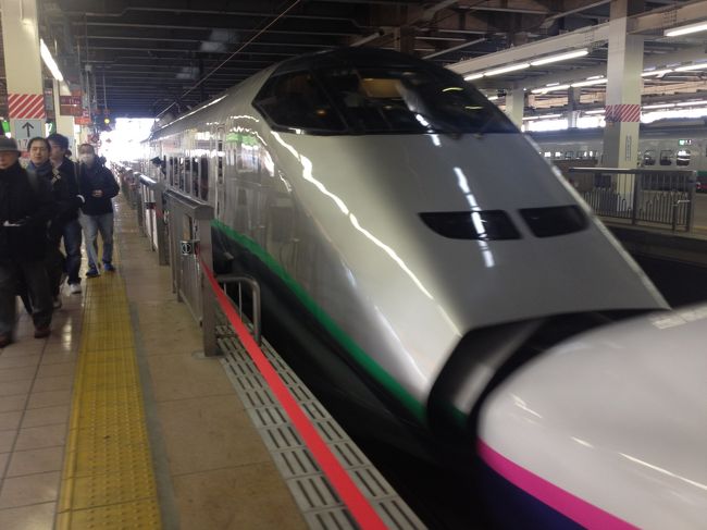 岩手県の個人旅行です。<br />1泊2日の新幹線往復+宿泊(選択)フリープランを予約。レンタカーは個人手配で観光計画です。<br /><br />宿は武蔵坊さんで宿泊です。<br /><br />平泉でわんこそば<br />厳美渓で郭公団子<br />経鼻渓の舟下り<br /><br />どれも、初体験です。<br /><br />1日目(平泉巡回バス)<br />毛越寺→中尊寺(金色堂)→無量光院跡<br /><br />2日目(レンタカー)<br />達谷西光寺(達谷窟毘沙門堂)→厳美渓→幽玄洞→経鼻渓→石と賢治のミュージアム→一ノ関(松竹)<br /><br />の計画です。